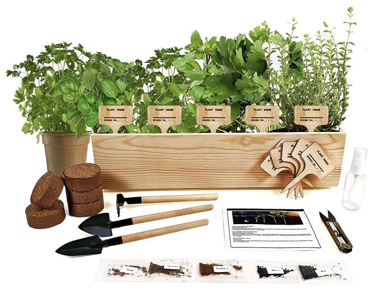 🌱50% OFF 5 Herb Seeds Window Planter Starter Kit, Basil Parsley Rosemary Thyme Mint, Including Everything